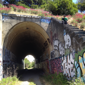 Bayshore Tunnel