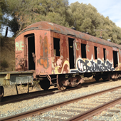 Abandoned Train