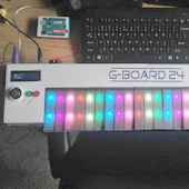 G-Board 24