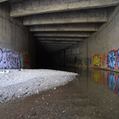 Bat Tunnel