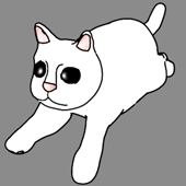 Animated Cat